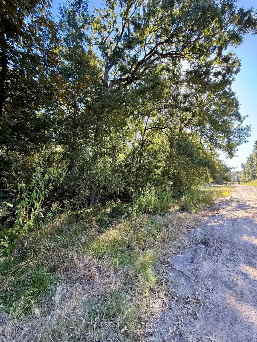 N/a Lot 85 Tomahawk Trail, Livingston, TX 77351 - Image #3