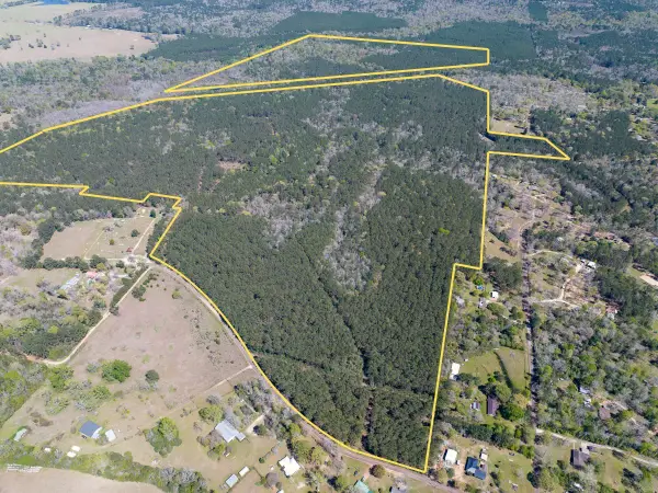 526 Mount Pisgah Road, Woodville, TX 75979