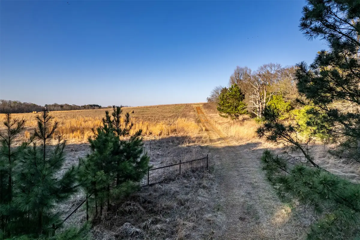 000 Cr 4710, Larue, TX 75770 - #1