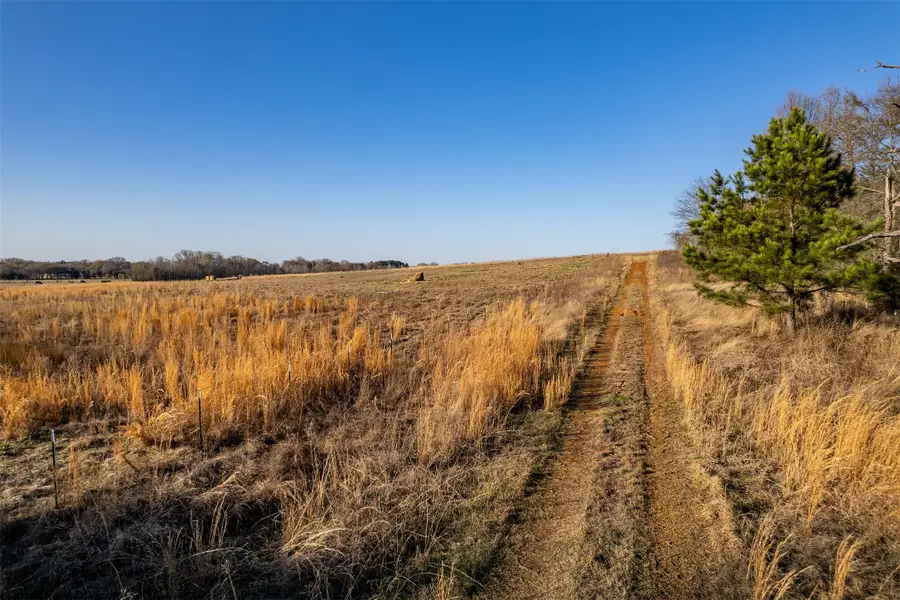 000 Cr 4710, Larue, TX 75770 - #3