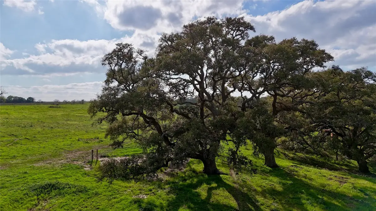 494 County Road 217c, Schulenburg, TX 78956 - Image #1