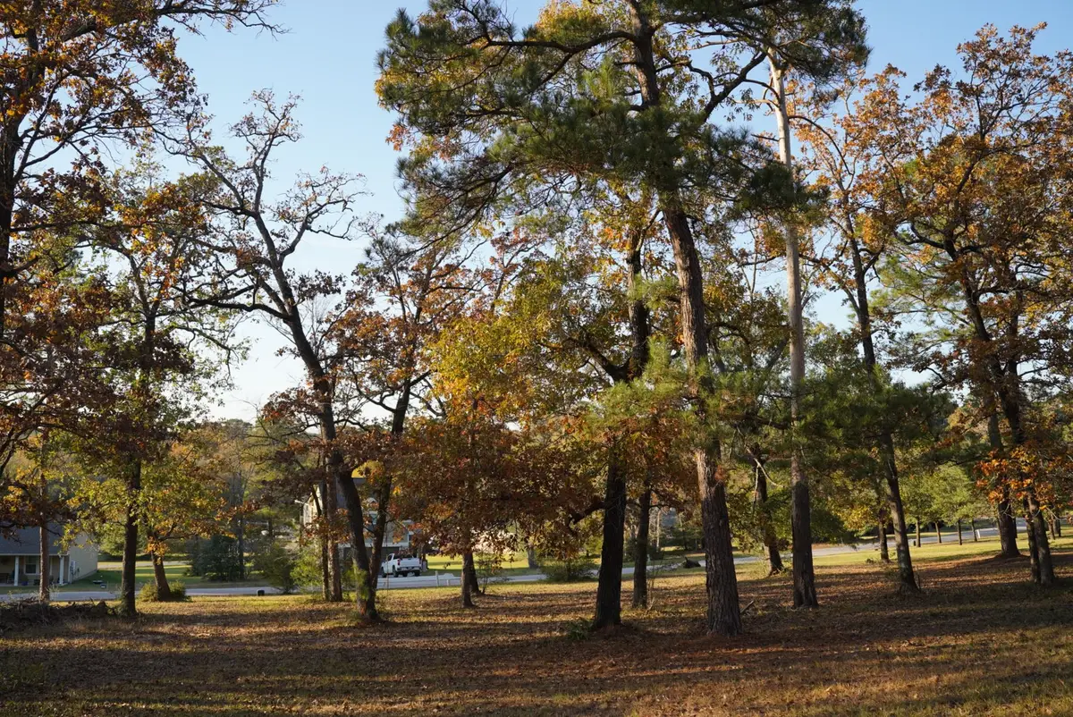 26 Hillsborough Drive, Huntsville, TX 77340 - Image #1