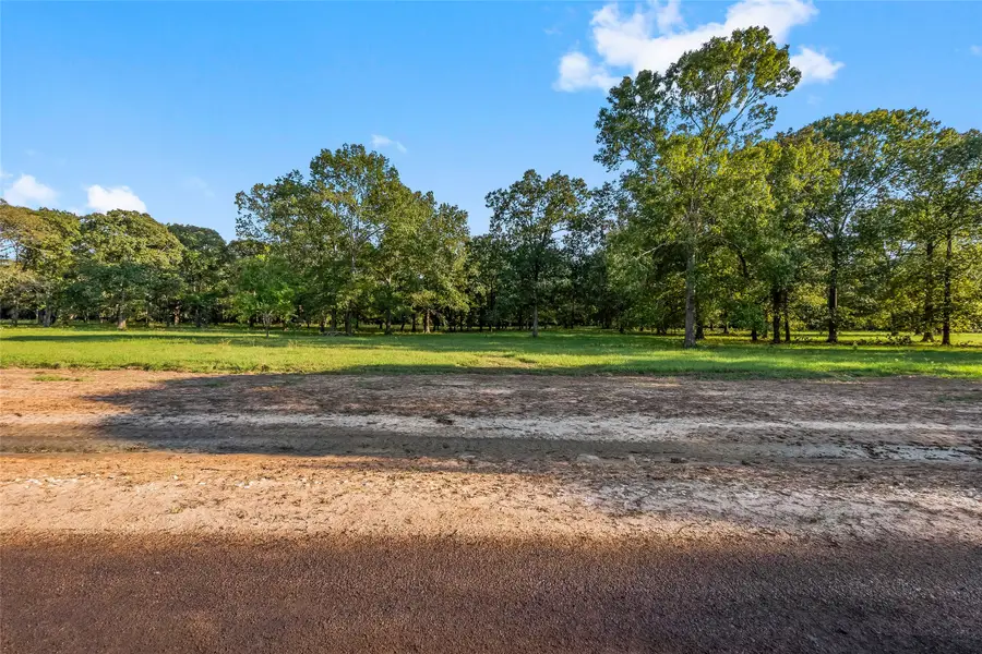 6070 Alans Memorial Lane, New Waverly, TX 77358 - Image #2