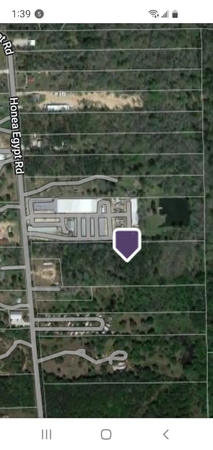3620 Honea Egypt Rd, Montgomery, TX 77316 - Image #2