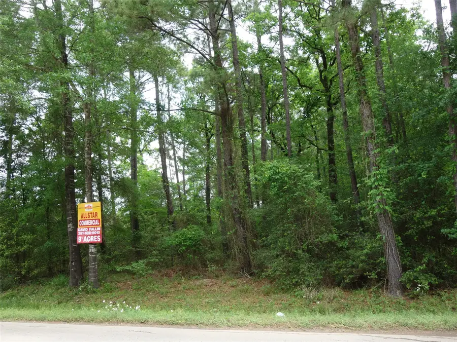 3620 Honea Egypt Rd, Montgomery, TX 77316 - Image #3