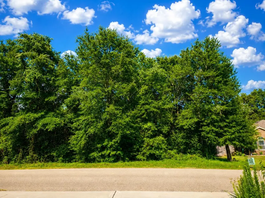 12294 Lake Conroe Hills, Willis, TX 77318 - #2