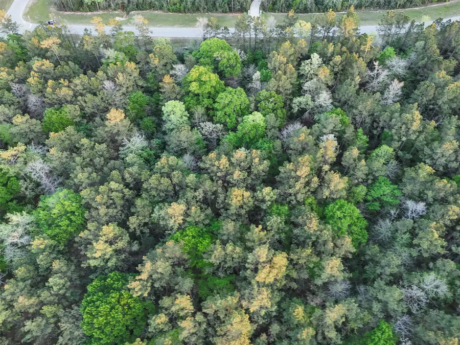 15537 Red Hawk Road, Willis, TX 77373 - #3