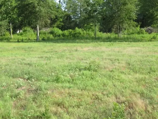 1419 County Road 3570, Cleveland, TX 77327 - #2
