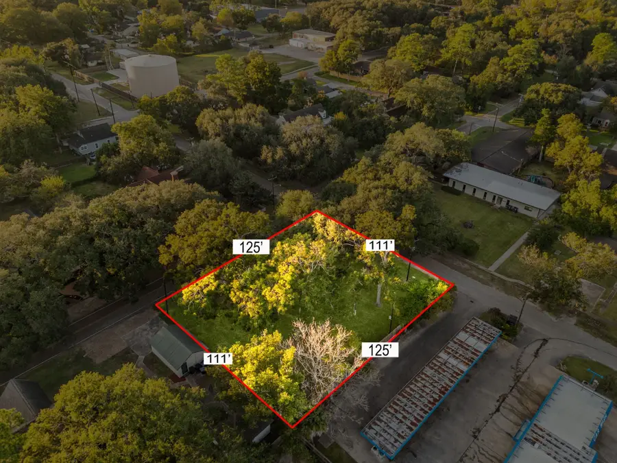 405 W Lang Street, Alvin, TX 77511 - Image #3