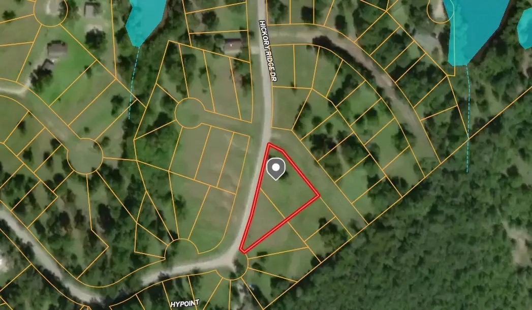 20 Scenic Wood Drive, Coldspring, TX 77331 - Image #1