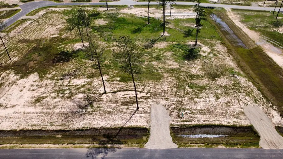 13049 Lewelling Drive, Conroe, TX 77306 - #2