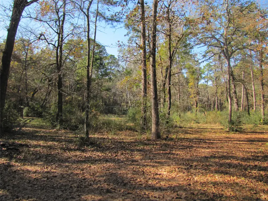 32602 Dogwood Trail, Magnolia, TX 77355 - Image #3