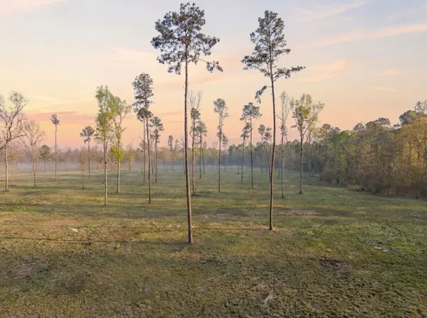 Lot 5 Johnson Drive, Livingston, TX 77351