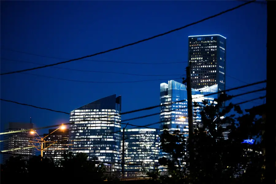 1708 Freeman Freeman Street, Houston, TX 77009 - #2