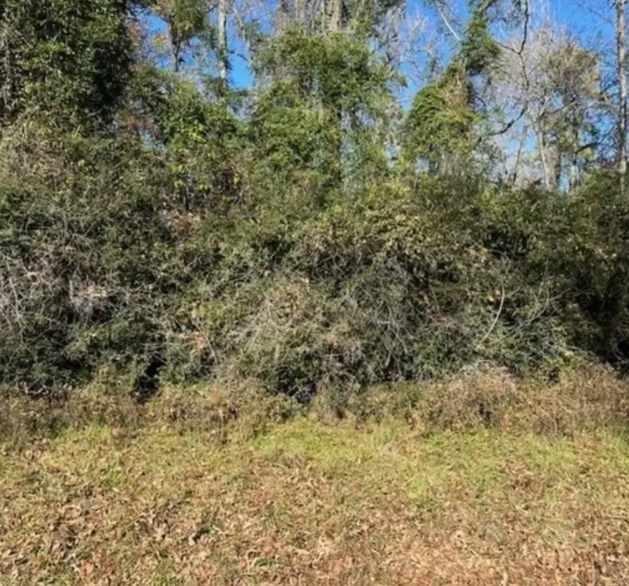 0 Winding Creek Dr, Trinity, TX 75862 - Image #2