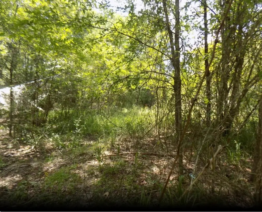 0 Winding Creek Dr, Trinity, TX 75862 - Image #3