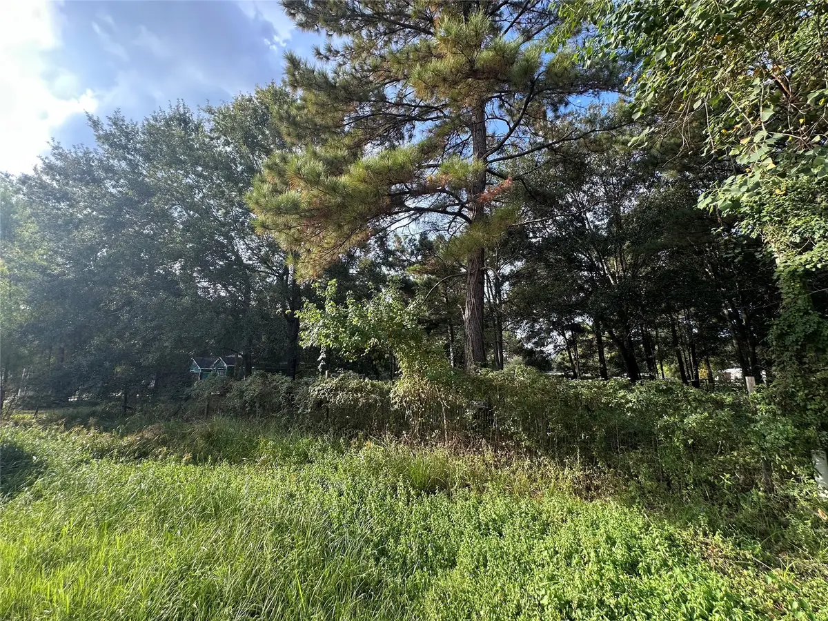 25929 Essex, New Caney, TX 77357 - Image #1