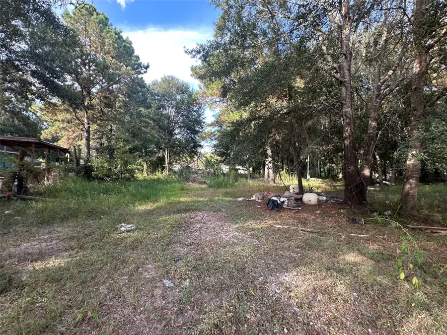 25929 Essex, New Caney, TX 77357 - Image #3