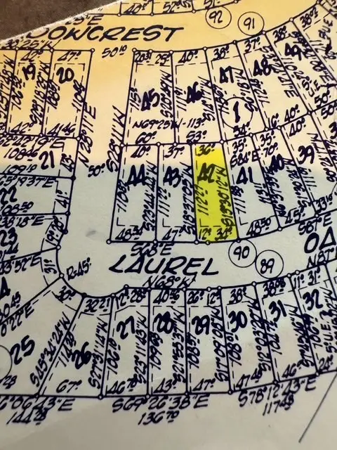 TBD42 Laurel Oak, Trinity, TX 75862