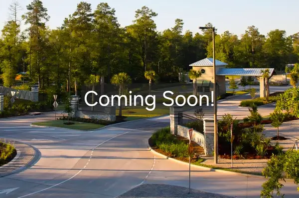 16849 Pink Wintergreen Drive, Conroe, TX 77385