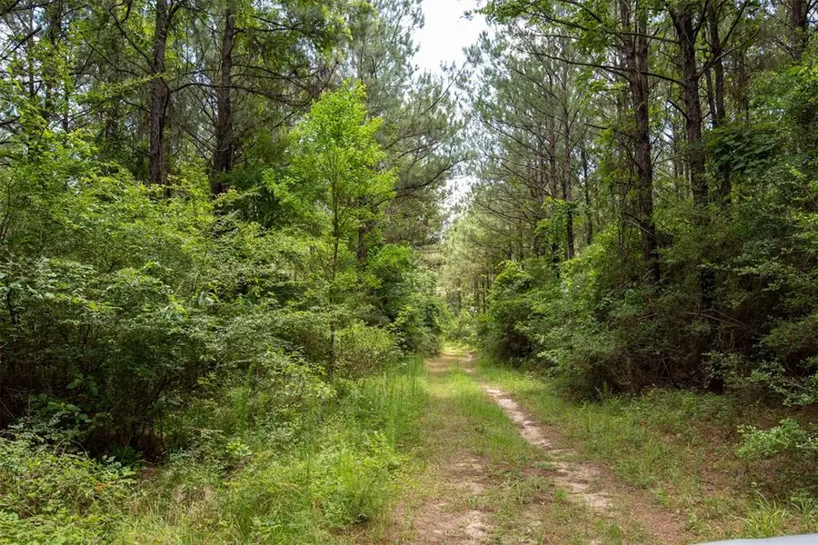 00 Co Rd 2150, Woodville, TX 75979 - Image #3