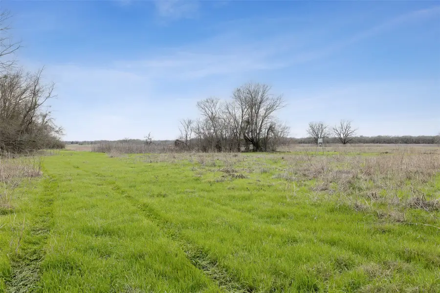 TBD Fm 413, Marlin, TX 76661 - Image #3