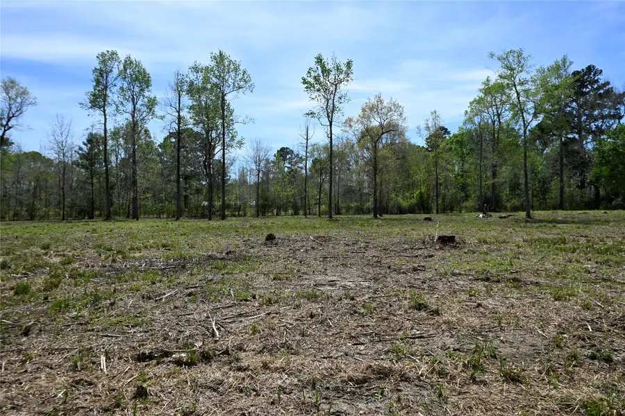 lot 4 County Road 2360, Hardin, TX 77575 - #3