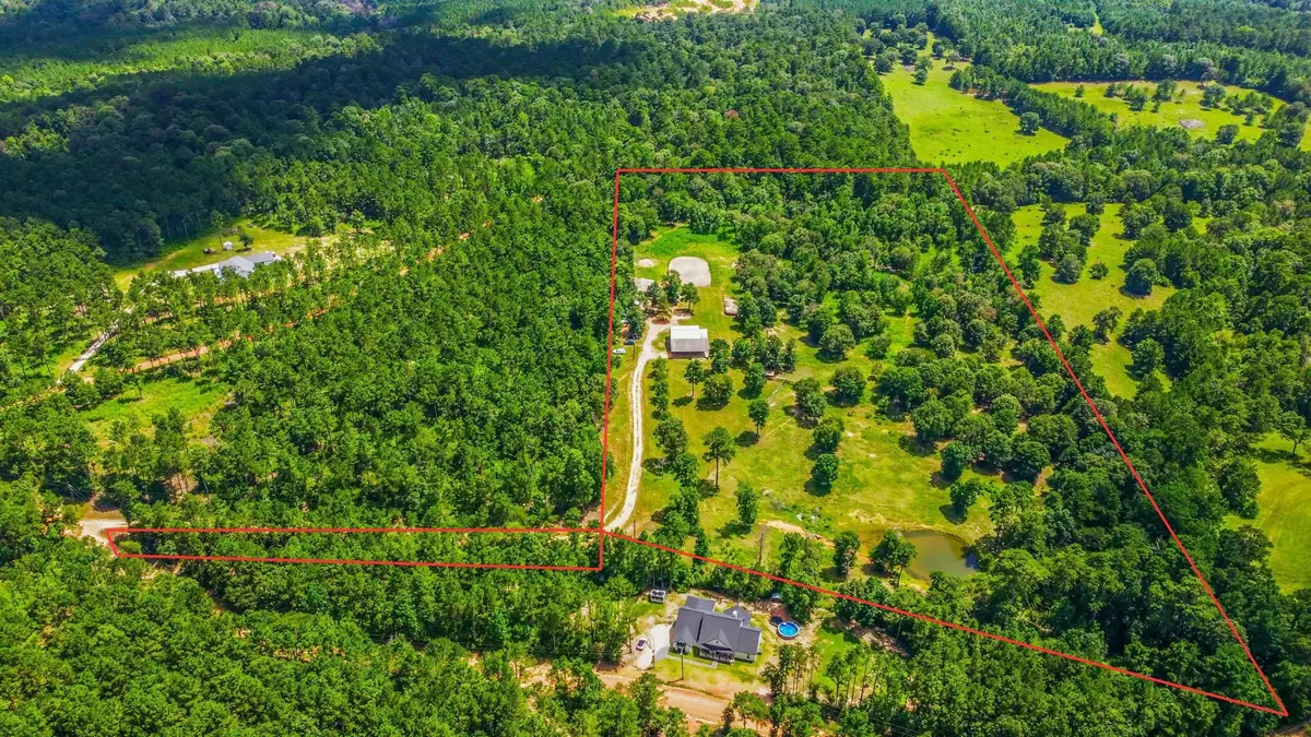 1239 Tony Peebles Road, Livingston, TX 77351 - #1