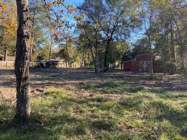 1702 E Bembridge Drive, Southeast Montgomery, TX 77386 - Image #2