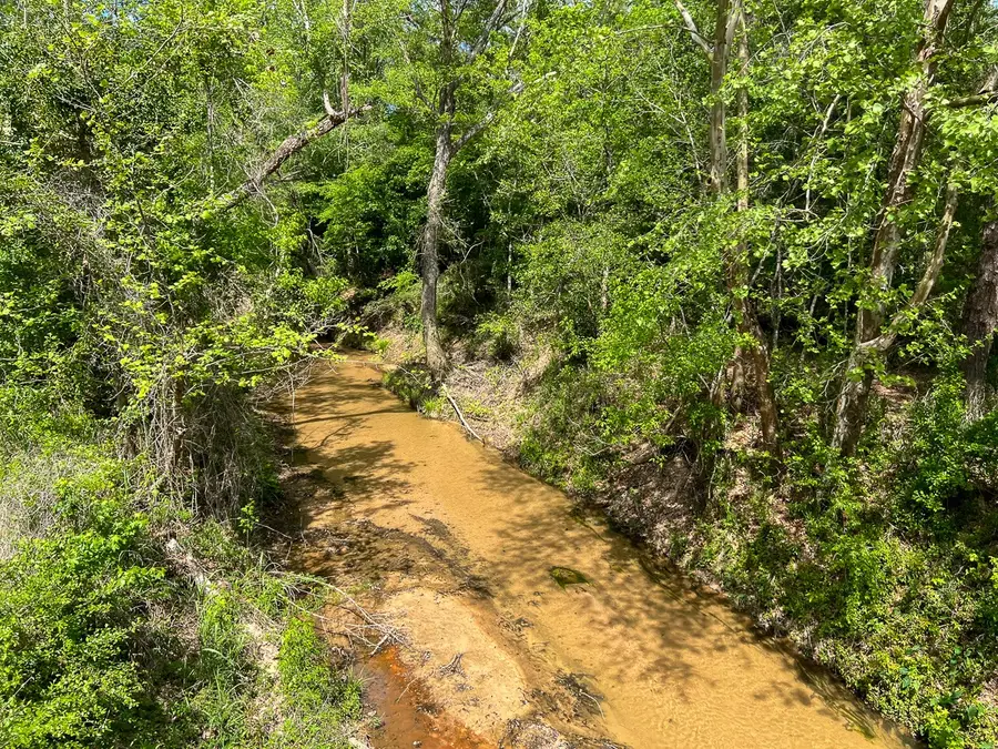 1 Fm 2665, Goodrich, TX 77335 - #2