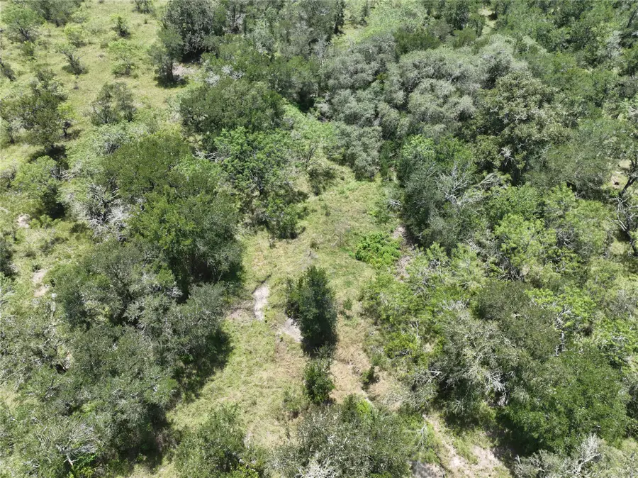 TBD County Road 420, Waelder, TX 78959 - #2