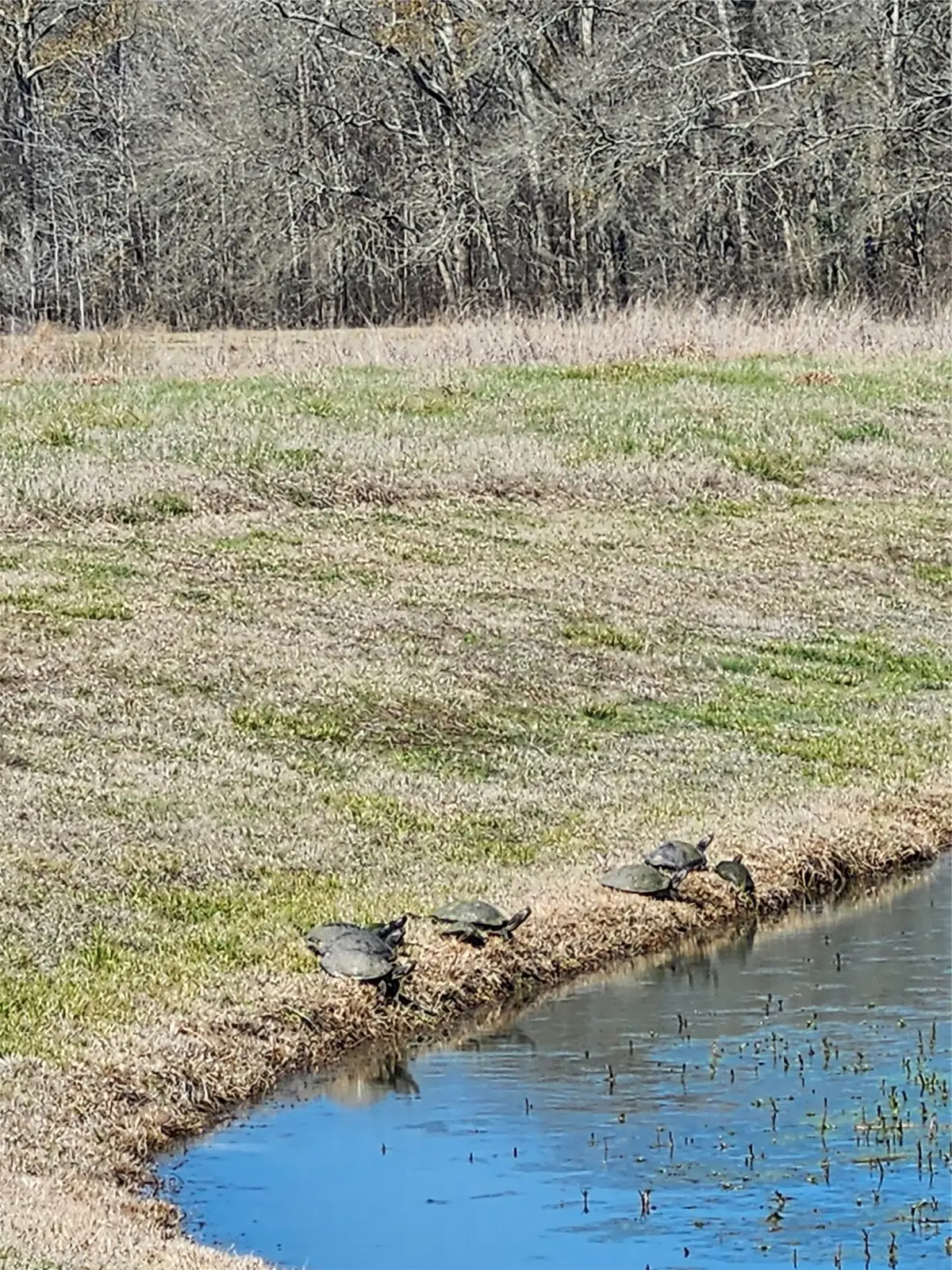 TBD Center Drive, Cleveland, TX 77327 - #1