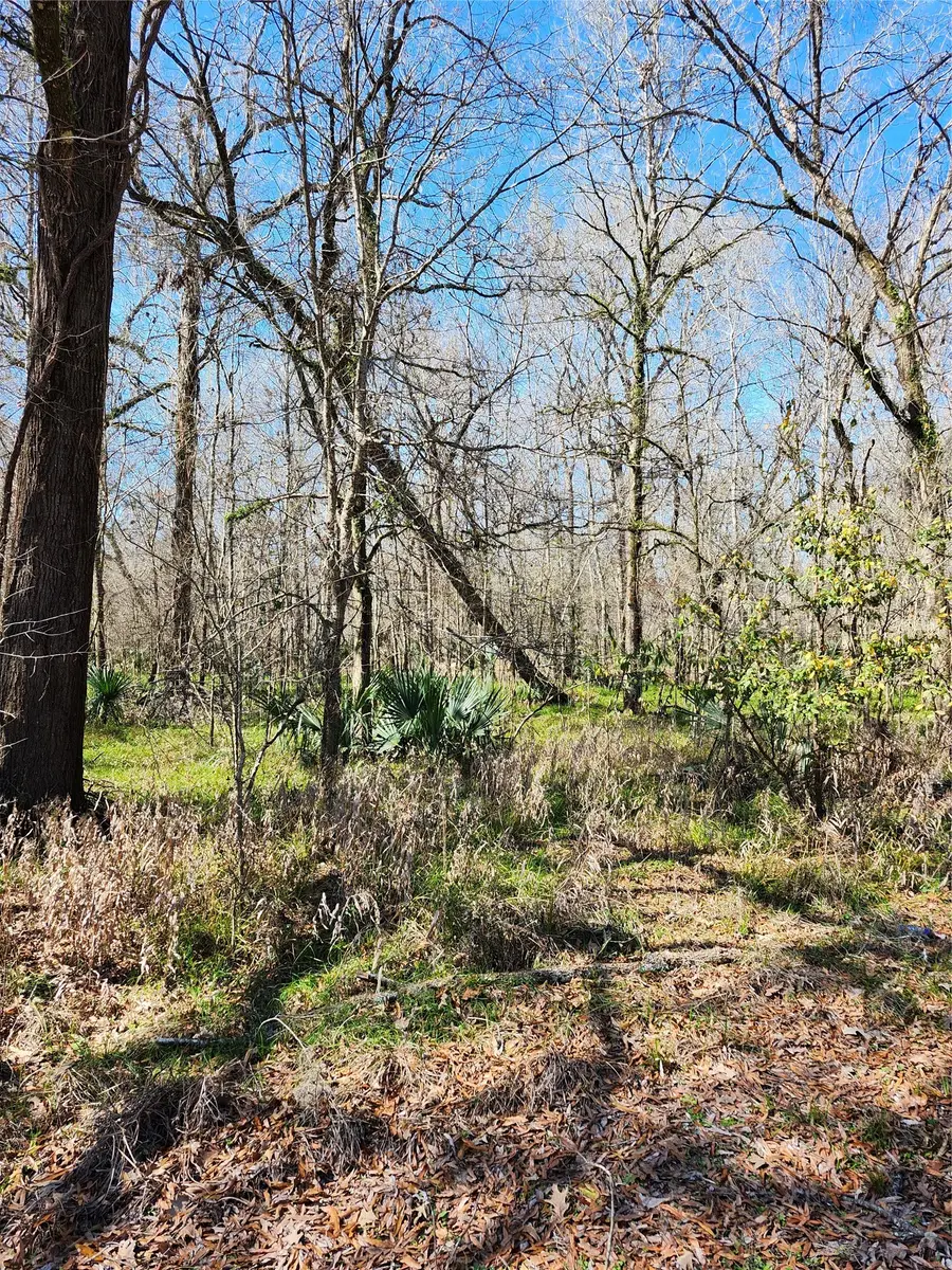 TBD Center Drive, Cleveland, TX 77327 - #2