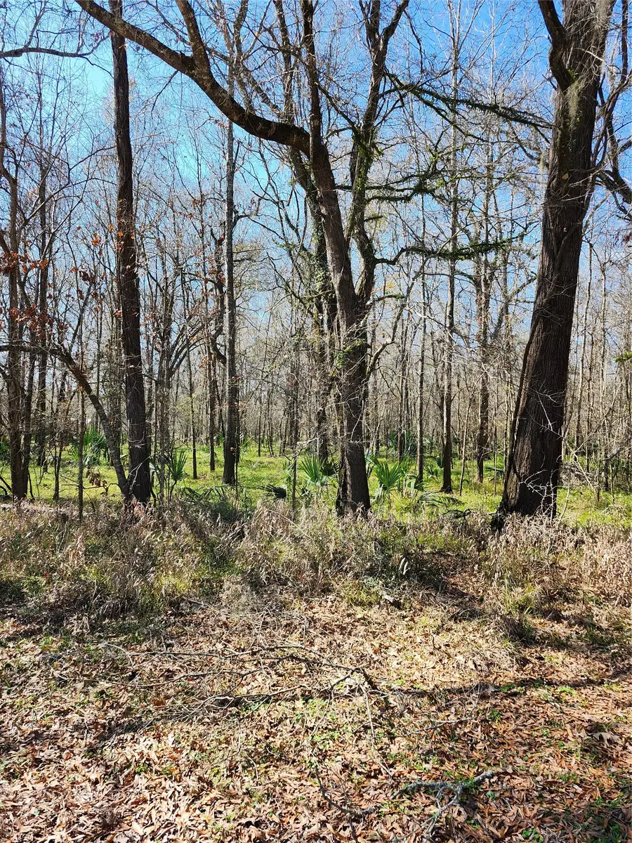 TBD Center Drive, Cleveland, TX 77327 - #3