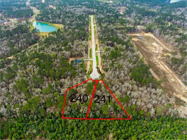 241 Hollow Hill Road, New Waverly, TX 77358