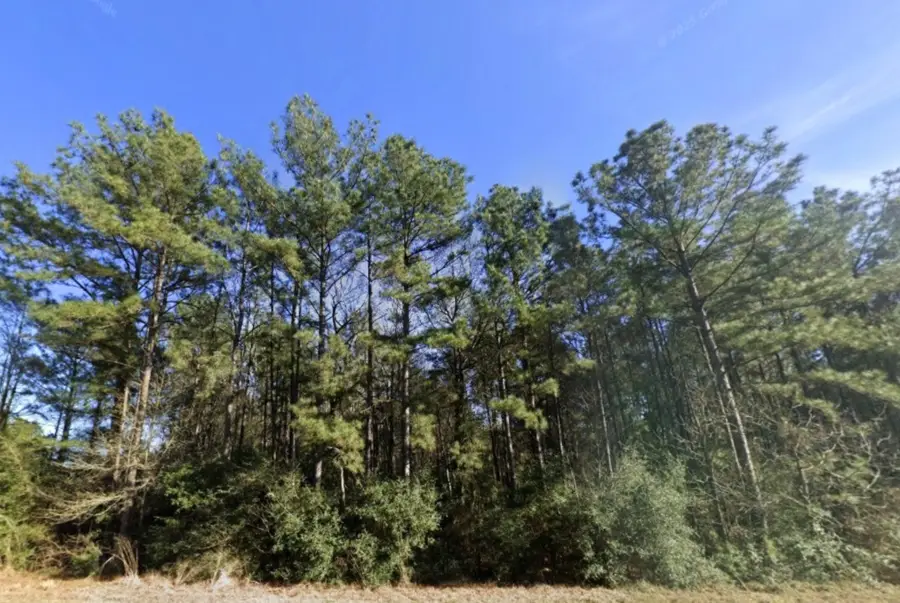 157 Rock Ranch Drive, New Waverly, TX 77358 - Image #3