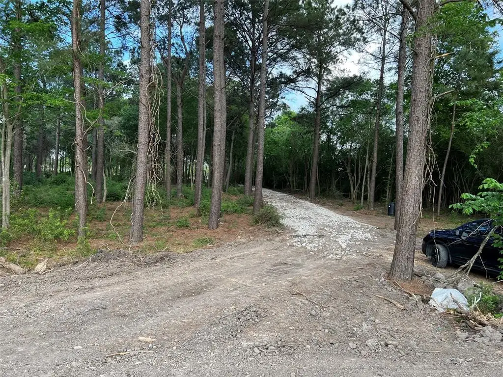 2450 Roy Road, Pearland, TX 77581 - #1