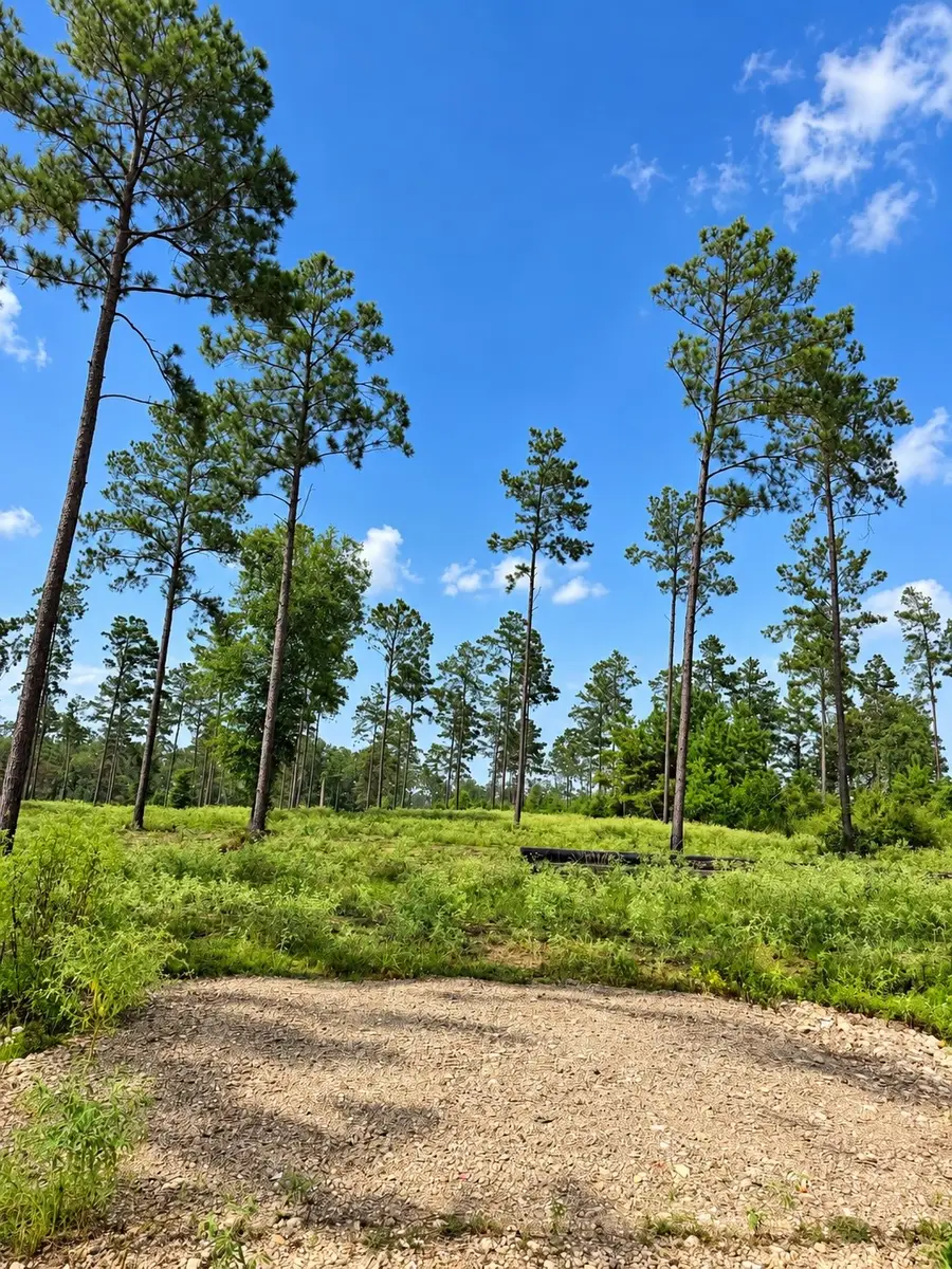 61 Reveille Road, Livingston, TX 77351 - #2