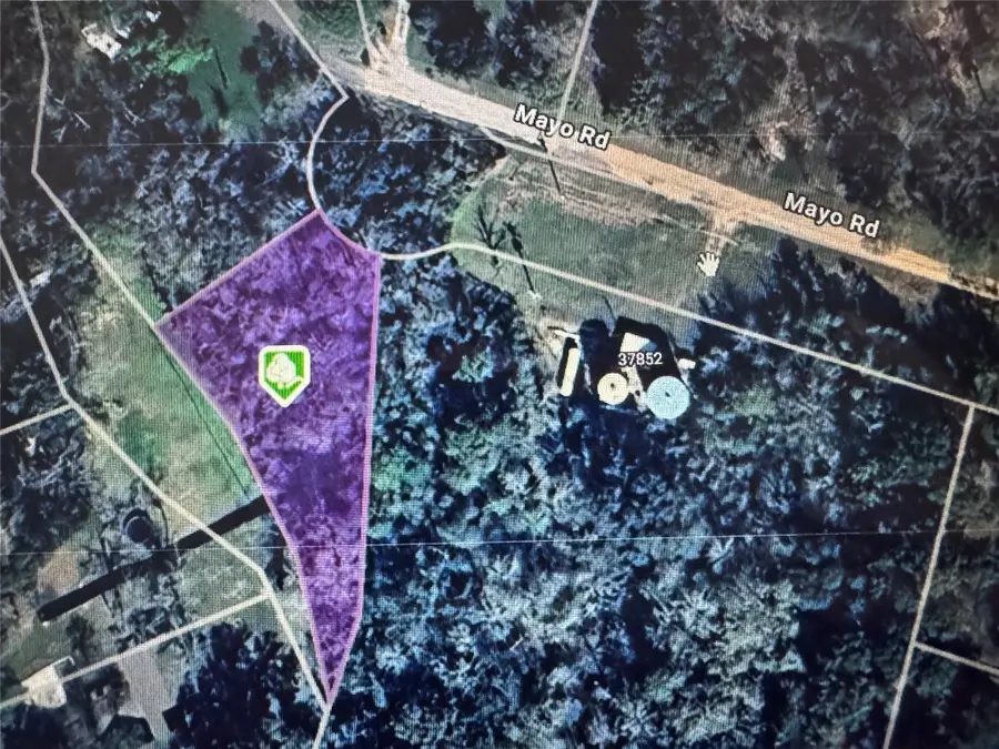 TBD Mayo Road, Hempstead, TX 77445 - Image #2