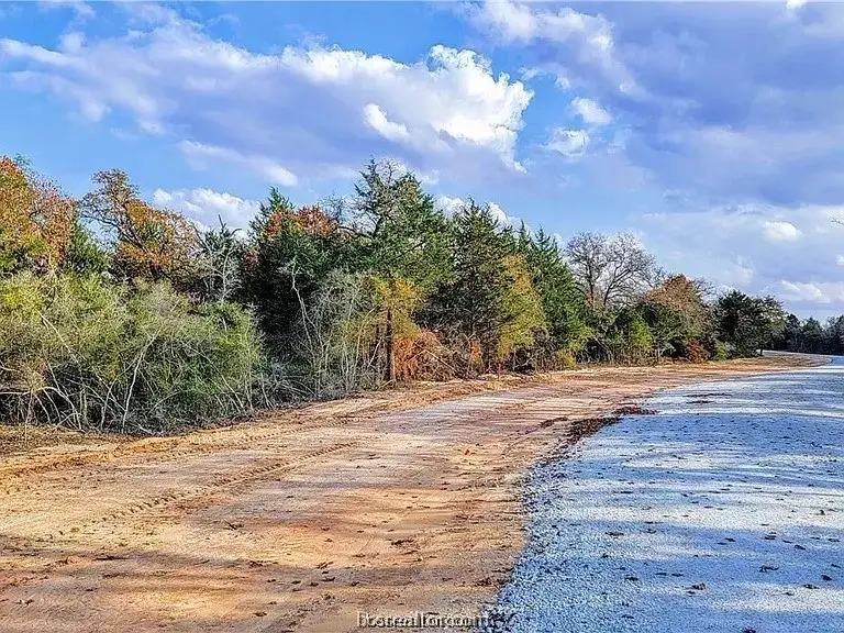 4524 Hampshire Lane, Franklin, TX 77856 - Image #1