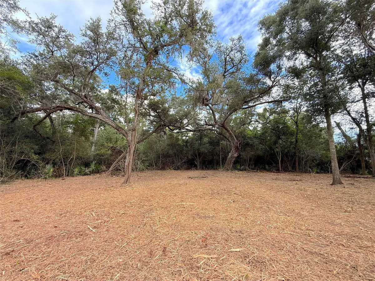 Lot 12A2 Cr 345, Brazoria, TX 77422 - #1