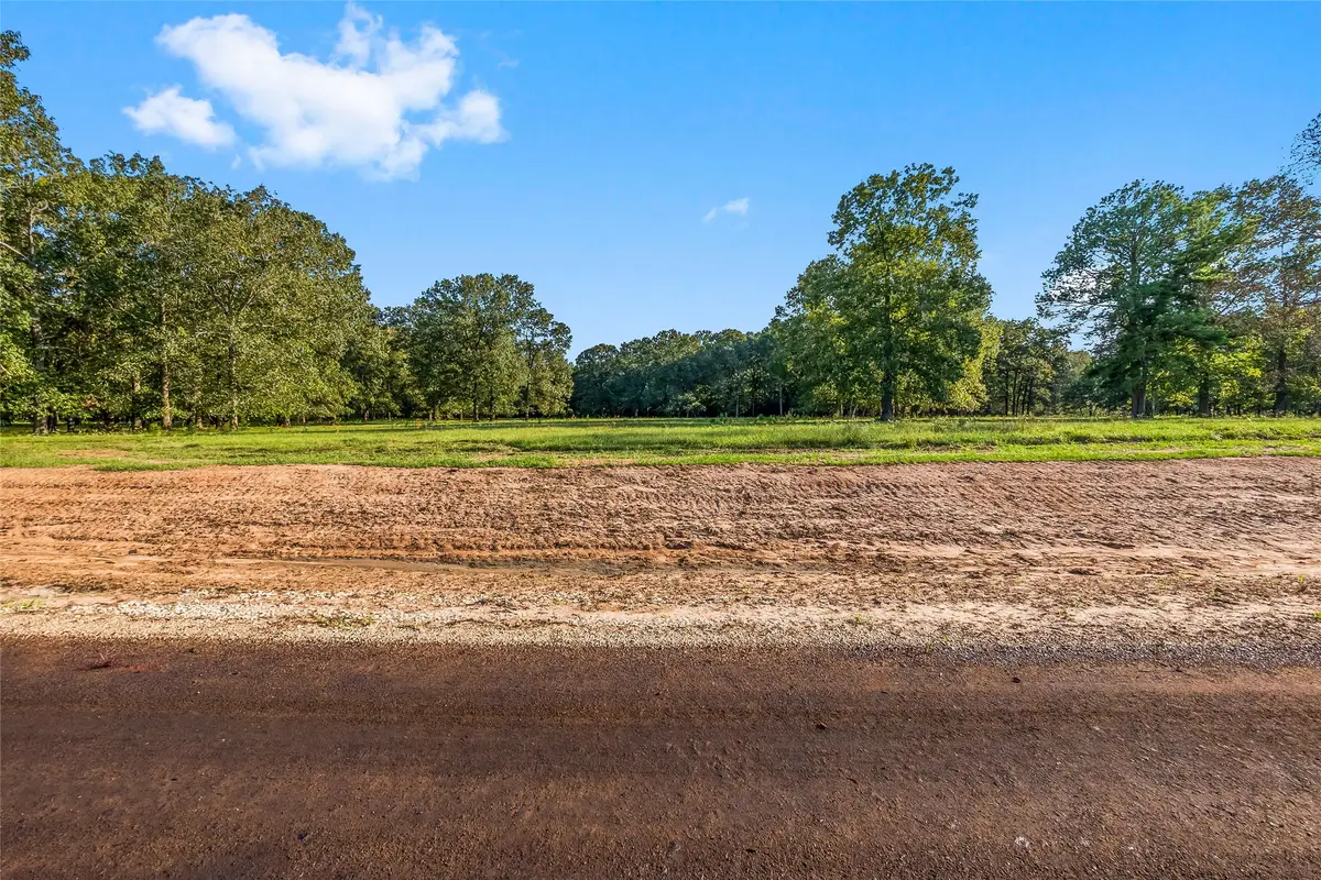 6052 Alans Memorial Lane, New Waverly, TX 77358 - Image #1