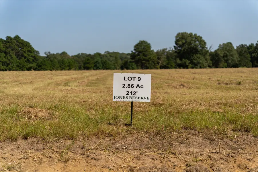 930 Jones Road, New Waverly, TX 77358 - #2