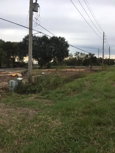 7933 Iowa Colony Blvd, Rosharon, TX 77583 - #2