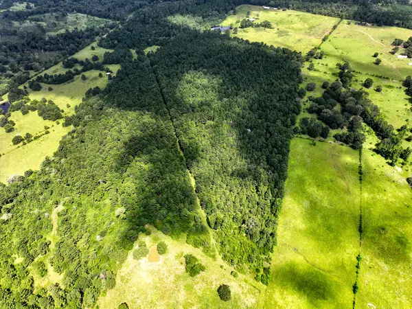 TBD Cr 4120, Crockett, TX 75835