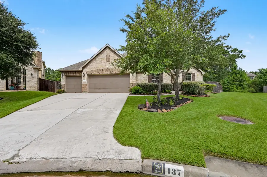 187 Wade Pointe Drive, Montgomery, TX 77316 - #3