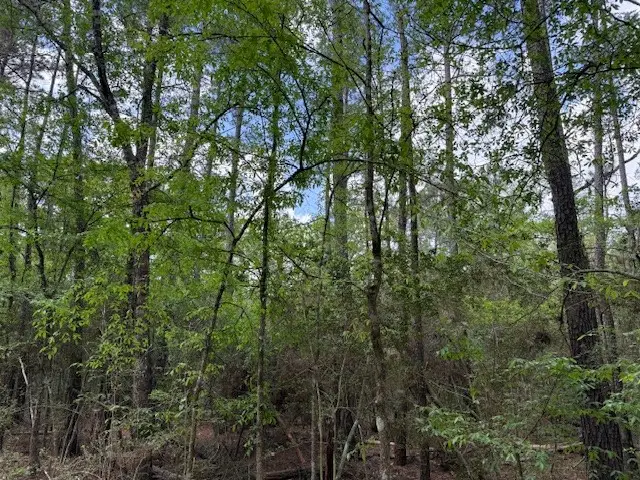 0 Gum Tree Lane, Plantersville, TX 77363 - #2