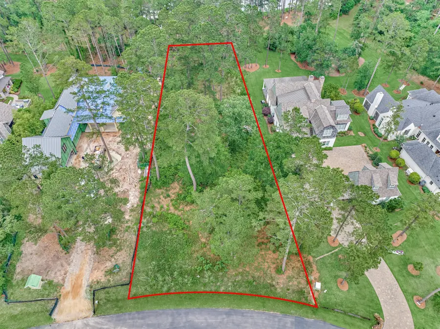 4393 Wynne Way, Montgomery, TX 77316 - #2