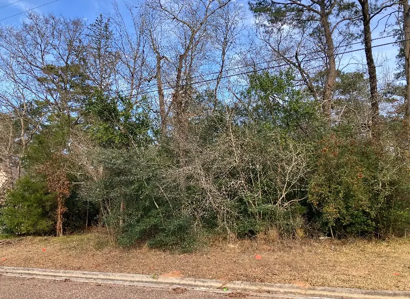 12136 Goliad, Willis, TX 77378 - #1