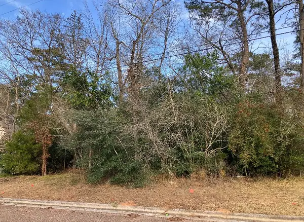 12136 Goliad, Willis, TX 77378